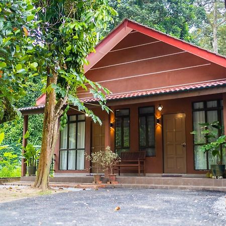 Cinta Abadi Resort Bidur Ngoại thất bức ảnh